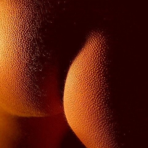 Profilbild Echt geiler Sex !!! - Carolina