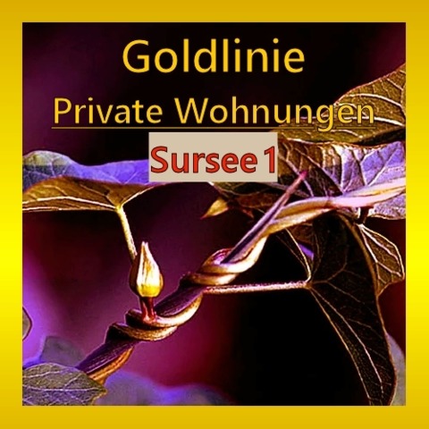 Profilbild GOLDLINIE - Sursee 1