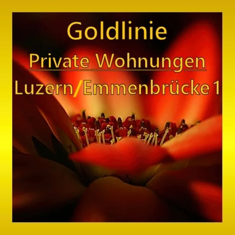 Profilbild GOLDLINIE - Luzern 1