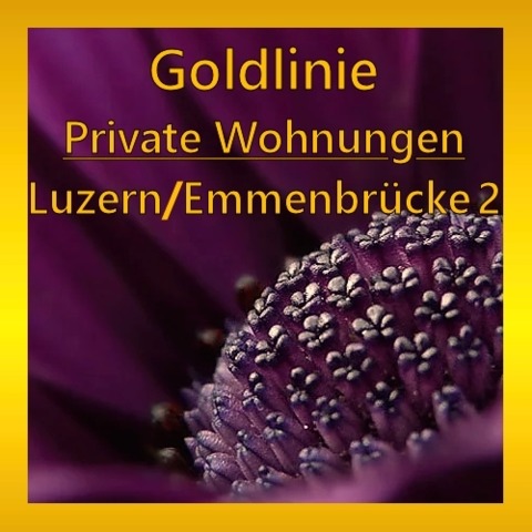 Profilbild GOLDLINIE - Luzern 2