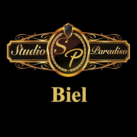 Profilbild Studio Paradiso Biel